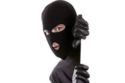 فیلم شوکه کننده از سرقت گردنبند در سعادت‌آباد