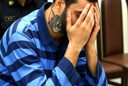سارق ثروتمند: به‌خاطر ناشی‌گری‌هایم در دزدی به من لقب تام دادند