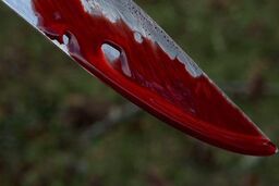 قتل شوهرخواهر با ضربات چاقو