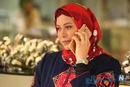 سگ میلیونی خانم بازیگر گم شد!