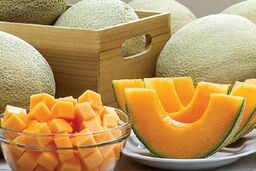 آیا ملون میوه‌ای تراریخته و مضر برای سلامتی است؟