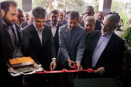 نجارزاده در مراسم افتتاح شعبه کاشان: آیین نامه تامین مالی صنعت نساجی تا دو هفته آینده ابلاغ می شود