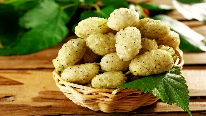 با خوردن این میوه افسرده نمی‌شوید