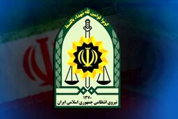 خسارت جزئی ساختمان پلیس تهران در پی اصابت ریزپرنده