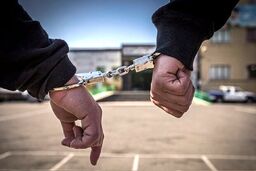 دستگیری سارقان سریالی خودروها در گشت‌زنی پلیس