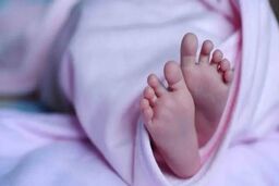 یارانه ۲ میلیونی برای این افراد/ جزئیات