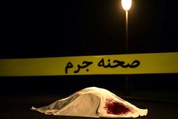 قتل در نیمه شب؛ پایان کری‌خوانی اینستاگرامی