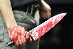 جزئیات قتل دو مرد به‌دست فردی که برای رضایت گرفتن رفته بود