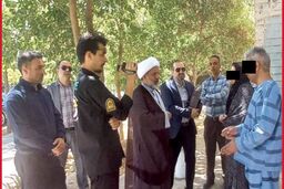زن جوان، طراح جنایت 410 هزار دلاری بود