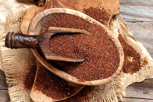 خواص درمانی خاکشیر برای سلامتی