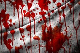 مرگ وکیل جوان در تصادف مشکوک