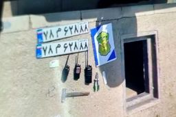 سارق تحصیلکرده از شگرد فوق حرفه‌ای باندش برای سرقت از خارجی‌ها می‌گوید