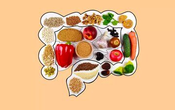 تأثیر رژیم غذایی پرچرب بر سلامت سیستم ایمنی روده