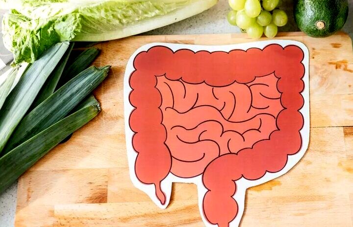 ۵ عادت طلایی برای داشتن روده‌ای سالم