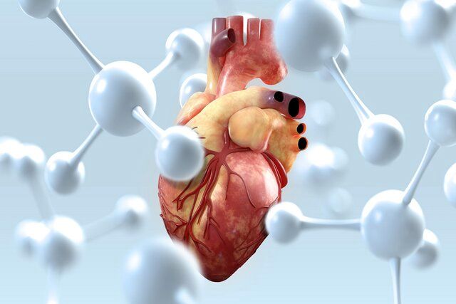 توصیه‌های طب ایرانی برای تقویت قلب