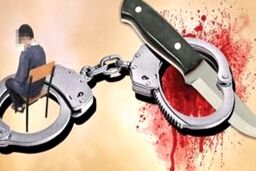 قتل به‌خاطر نگاه کردن داخل خودرو