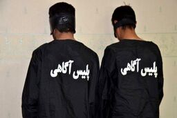 کلاهبرداری 900 میلیاردی 2 برادر