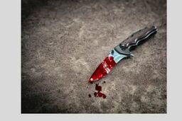 قتل به دلیل ایجاد ترافیک