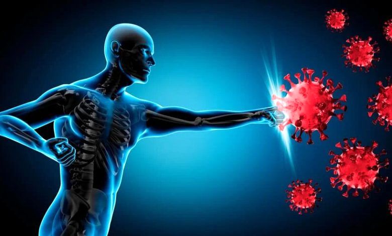 این میوه سیستم ایمنی بدن را تقویت می‌کند