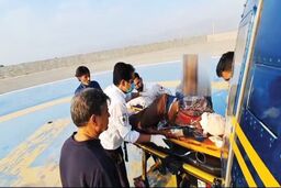 نجات شگفت انگیزه چوپان میانسال از حمله خرس سیاه