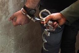 خانم مارپل، سارق سریالی تهران را گرفتار کرد