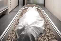 پرستار خانگی؛ مظنون قتل پیرزن تنها