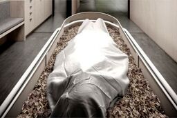 رییس سردخانه دانشکده پزشکی اعضای بدن مردگان را می‌فروخت