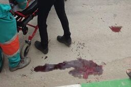 اختلاف ملکی قدیمی؛ انگیزه قتل مرد میانسال