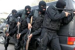 گروگان مینابی بعد از ۷۰ روز از چنگ آدم‌ربایان نجات یافت