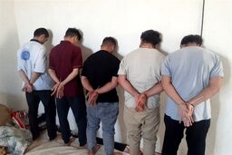 زمین گیر شدن ۴۷ سارق حرفه‌ای با شلیک پلیس / دستگیری بیش از ۳ هزار سارق