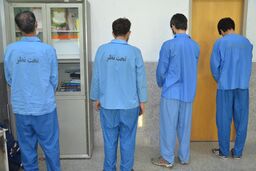 دستگیری اعضای باند سرقت ۳۰۰ میلیاردی از خانه‌ها