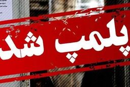 اینترنت استارلینک کار دست این واحدهای صنفی داد