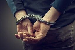سرگذشت تاسف‌بار دزد کریستالی