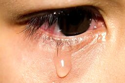 تردیدهای زن جوان بعد از ۱۶ سال رابطه پنهانی