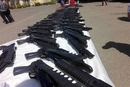 کشف دو قبضه سلاح گرم از «باغ وحشت» در حاشیه تهران