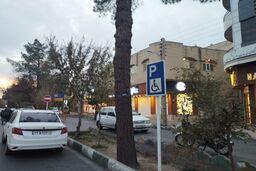 هشدار پلیس درباره اشغال پارکینگ‌های اختصاصی جانبازان و معلولان