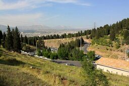 گشت‌زنی‌های پلیس در ۱۵ بوستان پایتخت/ کشف ۱۸ خودرو و موتورسیکلت سرقتی در بوستان‌ها
